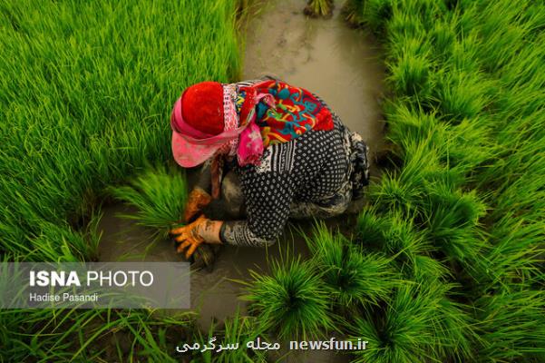 زنان مازندران چگونه به وضعیت اجتماعی اعتراض می کردند؟