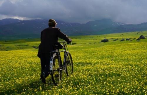 سونسوز مخاطب را با حال خوب بدرقه می کند یک پارودی دلنشین
